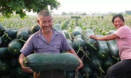 吃瓜爆料每日大赛聚集地,吃瓜爆料每日大赛聚集地，热点事件一网打尽！